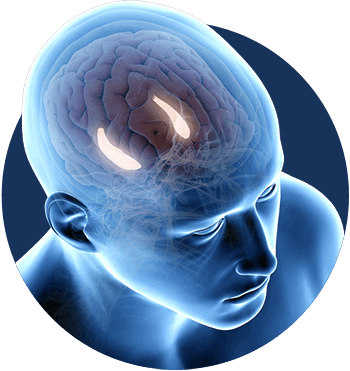 billionaire-brain-wave-program